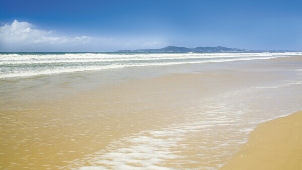 Экскурсия с русским гидом на Золотом Побережье:
Живописные океанские районы Золотого Побережья